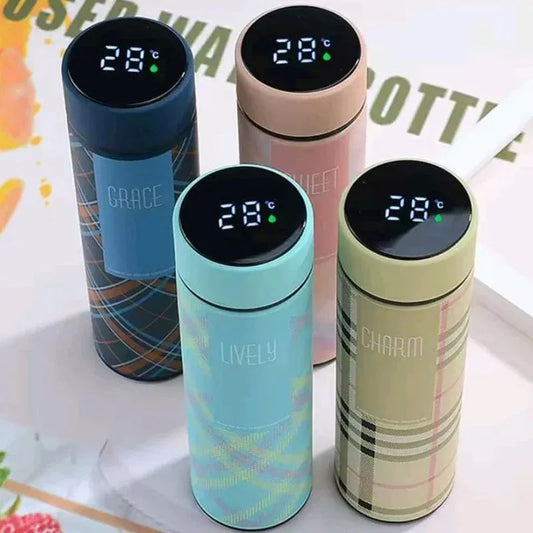 LED Temperature Display Water Bottle